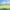 0017 Dood weiland (dead Pasture)