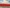 0144 Border