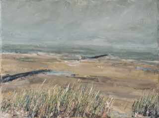 0006 vlieland strand fortweg dsc 6637 0336